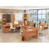 Набор мебели для офиса Альфа 61 205